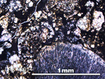 Thin Section Photo of Sample LAR 12034 in Plane-Polarized Light with 5X Magnification