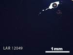 Thin Section Photograph of Sample LAR 12049 in Plane-Polarized Light