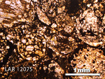 Thin Section Photo of Sample LAR 12075 in Plane-Polarized Light with 2.5X Magnification
