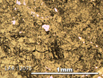 Thin Section Photo of Sample LAR 12075 in Reflected Light with 5X Magnification