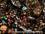 Thin Section Photo of Sample LAR 12075 in Cross-Polarized Light with 5X Magnification