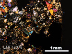 Thin Section Photo of Sample LAR 12078 in Cross-Polarized Light with 2.5X Magnification
