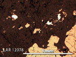 Thin Section Photo of Sample LAR 12078 in Reflected Light with 5X Magnification
