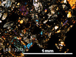 Thin Section Photo of Sample LAR 12078 in Cross-Polarized Light with 5X Magnification