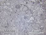 Thin Section Photograph of Sample LAR 12095 in Reflected Light