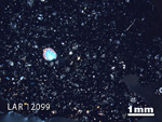 Thin Section Photograph of Sample LAR 12099 in Cross-Polarized Light
