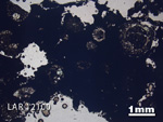 Thin Section Photograph of Sample LAR 12100 in Plane-Polarized Light