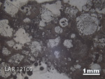 Thin Section Photograph of Sample LAR 12100 in Reflected Light