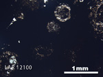 Thin Section Photograph of Sample LAR 12100 in Plane-Polarized Light