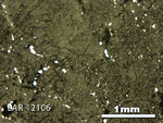 Thin Section Photo of Sample LAR 12106 in Reflected Light with 2.5X Magnification