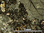 Thin Section Photo of Sample LAR 12128 in Reflected Light with 5X Magnification