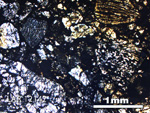 Thin Section Photo of Sample LAR 12142 in Plane-Polarized Light with 2.5X Magnification