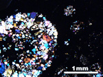 Thin Section Photo of Sample LAR 12154 in Cross-Polarized Light with 2.5X Magnification