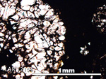 Thin Section Photo of Sample LAR 12154 in Plane-Polarized Light with 5X Magnification