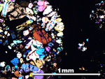 Thin Section Photo of Sample LAR 12154 in Cross-Polarized Light with 5X Magnification
