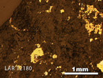 Thin Section Photo of Sample LAR 12180 in Reflected Light with 2.5X Magnification