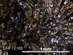 Thin Section Photo of Sample LAR 12180 in Plane-Polarized Light with 5X Magnification