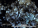 Thin Section Photo of Sample LAR 12203 in Plane-Polarized Light with 5X Magnification