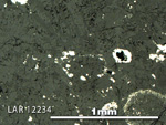Thin Section Photo of Sample LAR 12234 in Reflected Light with 5X Magnification