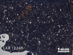 Thin Section Photograph of Sample LAR 12240 in Plane-Polarized Light