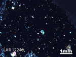 Thin Section Photograph of Sample LAR 12246 in Cross-Polarized Light