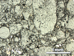 Thin Section Photo of Sample LAR 12247 in Reflected Light with 2.5X Magnification