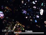 Thin Section Photo of Sample LAR 12247 in Cross-Polarized Light with 5X Magnification