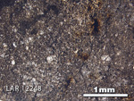 Thin Section Photograph of Sample LAR 12248 in Plane-Polarized Light