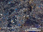 Thin Section Photograph of Sample LAR 12248 in Cross-Polarized Light