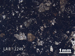 Thin Section Photograph of Sample LAR 12249 in Plane-Polarized Light