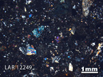 Thin Section Photograph of Sample LAR 12249 in Cross-Polarized Light