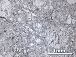 Thin Section Photograph of Sample LAR 12249 in Reflected Light