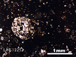 Thin Section Photo of Sample LAR 12252 in Plane-Polarized Light with 2.5X Magnification