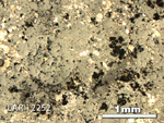 Thin Section Photo of Sample LAR 12252 in Reflected Light with 2.5X Magnification