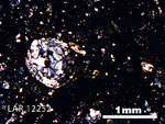 Thin Section Photo of Sample LAR 12252 in Cross-Polarized Light with 2.5X Magnification