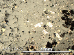 Thin Section Photo of Sample LAR 12252 in Reflected Light with 5X Magnification