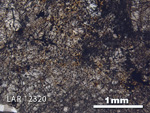 Thin Section Photograph of Sample LAR 12320 in Plane-Polarized Light