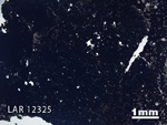Thin Section Photograph of Sample LAR 12325 in Plane-Polarized Light