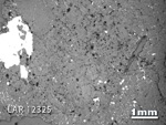 Thin Section Photograph of Sample LAR 12325 in Reflected Light