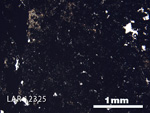 Thin Section Photograph of Sample LAR 12325 in Plane-Polarized Light