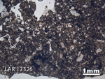 Thin Section Photograph of Sample LAR 12326 in Plane-Polarized Light