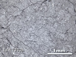 Thin Section Photograph of Sample LAR 12326 in Reflected Light