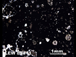 Thin Section Photo of Sample LEW 85311 in Plane-Polarized Light