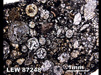 Thin Section Photograph of Sample LEW 87248 in Plane-Polarized Light