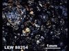 Thin Section Photograph of Sample LEW 88254 in Cross-Polarized Light
