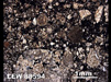 Thin Section Photograph of Sample LEW 88594 in Plane-Polarized Light