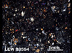 Thin Section Photograph of Sample LEW 88594 in Cross-Polarized Light