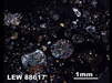 Thin Section Photograph of Sample LEW 88617 in Cross-Polarized Light