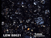 Thin Section Photograph of Sample LEW 88621 in Cross-Polarized Light