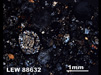 Thin Section Photograph of Sample LEW 88632 in Cross-Polarized Light